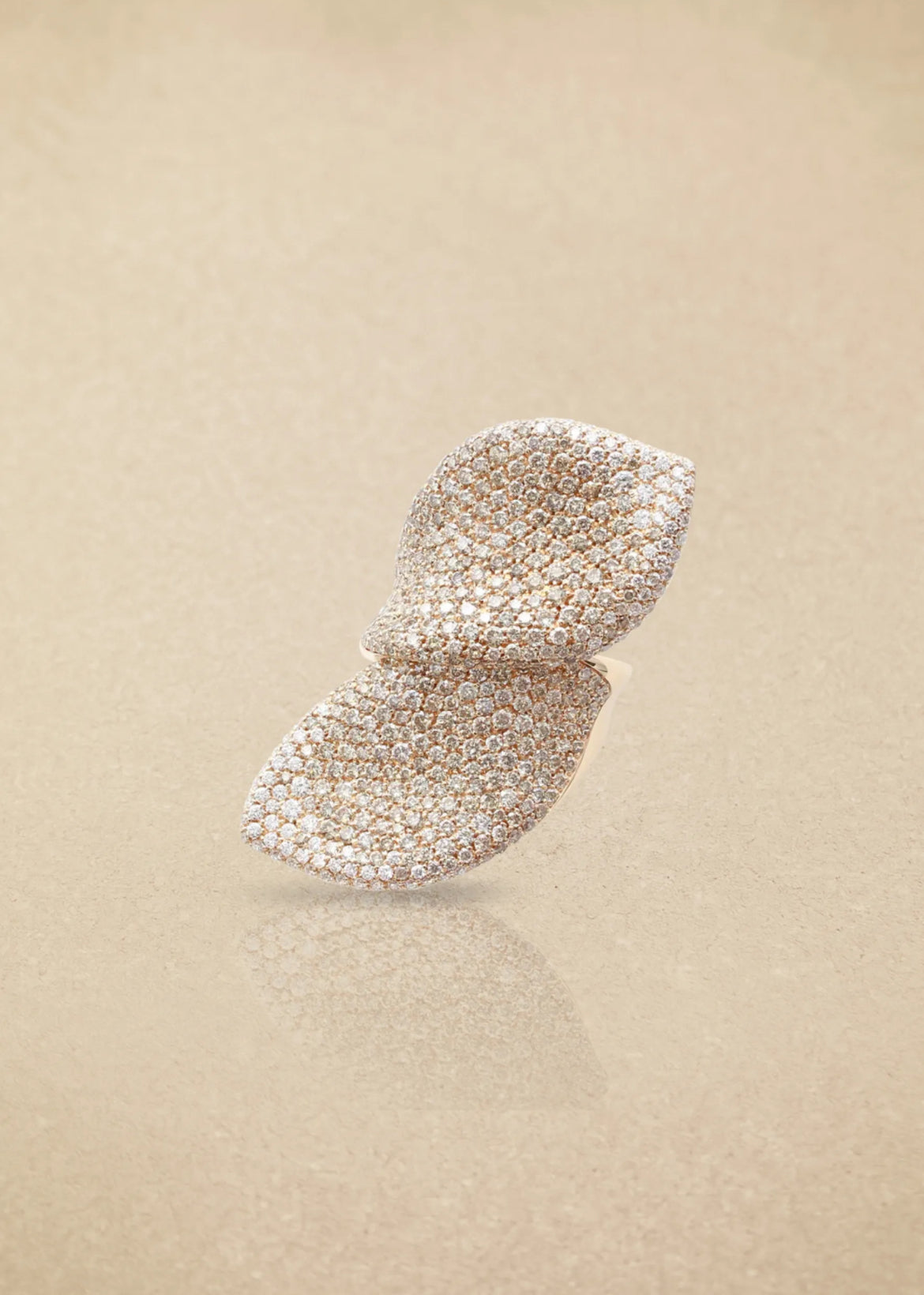 Floral Elegance Gold Earrings & Ring